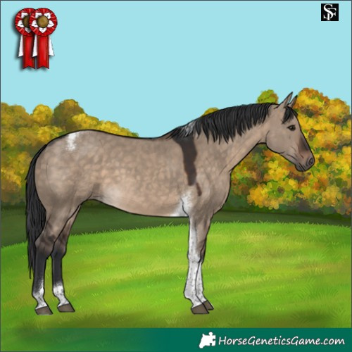 Horse Color:Brown Dun Tobiano 