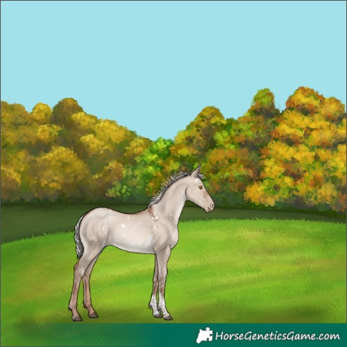 Horse Color:White Spotted Silver Grullo Pearl Mushroom Tobiano