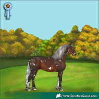 Horse Color:White Spotted Silver Brown Mushroom Tobiano