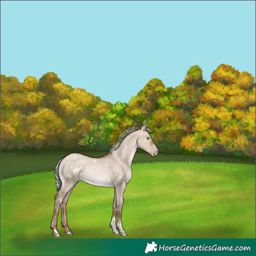 Horse Color:White Spotted Silver Brown Pearl Dun Mushroom Tobiano 