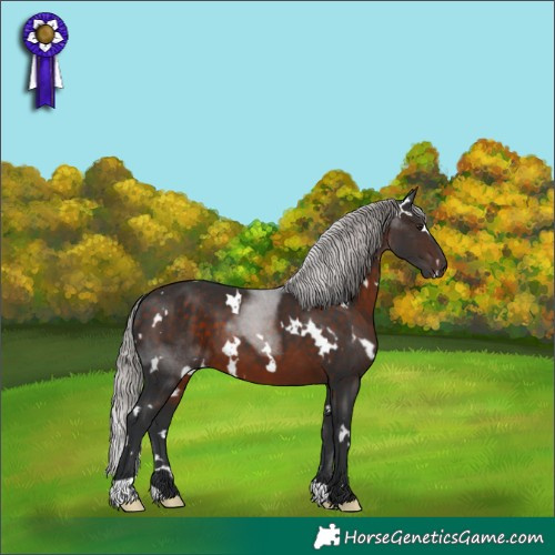 Horse Color:White Spotted Silver Brown 