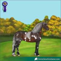 Horse Color:White Spotted Silver Brown