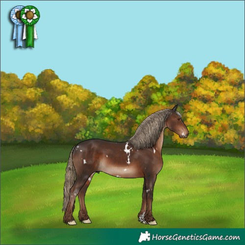Horse Color:White Spotted Liver Chestnut 