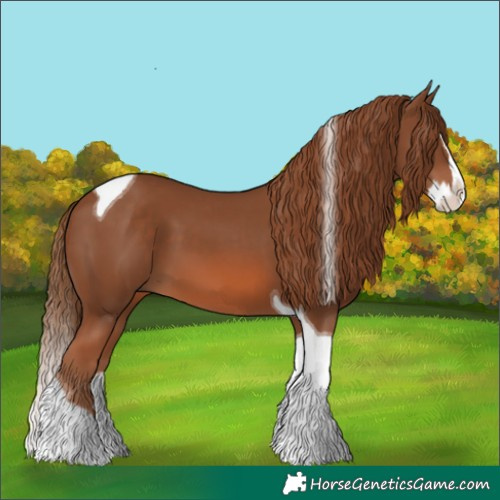 Horse Color:Chestnut Splash Tobiano 