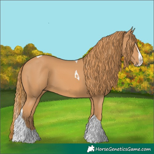 Horse Color:Chestnut Splash Tobiano 