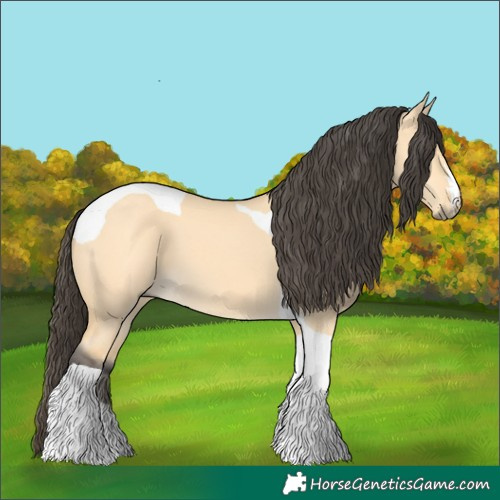 Horse Color:Buckskin Dun Tobiano 