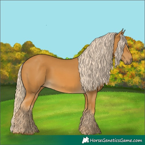 Horse Color:Palomino 