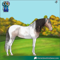 Horse Color:Sable Champagne Tobiano