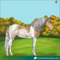 Horse Color:Silver Classic Cream Champagne Tobiano 