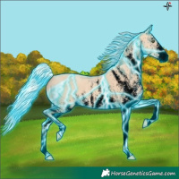 Horse Color:Void Thunderstruck White Spotted Silver Amber Champagne Dun 