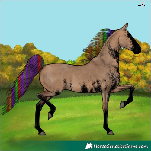 Horse Color:Void Painted White Spotted Bay Dun Splash