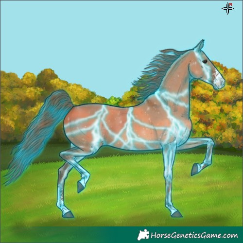 Horse Color:Thunderstruck Red Dun Sabino