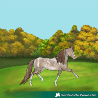Horse Color:Powder White Liver Red Dun