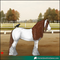 Horse Color:White Spotted Red Roan Near Fewspot