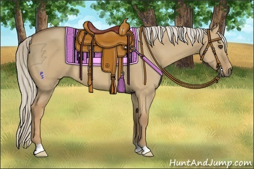 Horse Color:Palomino Dun