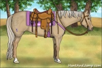 Horse Color:Palomino Dun