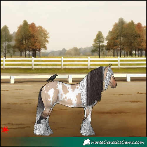Horse Color:White Spotted Bay Dun 