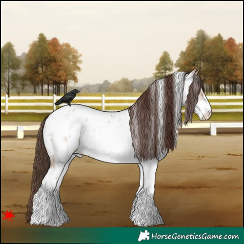 Horse Color:White Spotted Bay Dun Near Leopard Rabicano 
