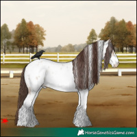 Horse Color:White Spotted Bay Dun Near Leopard Rabicano