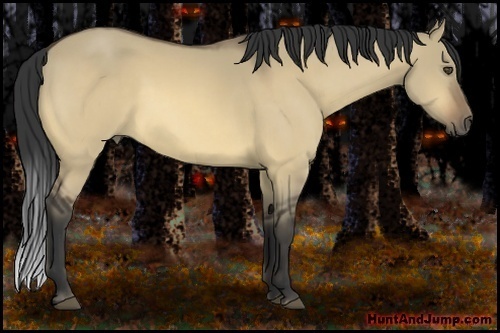 Horse Color:Buckskin Dun 