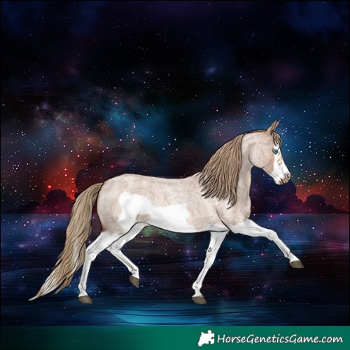 Horse Color:Red Dun Roan Splash Frame Rabicano 