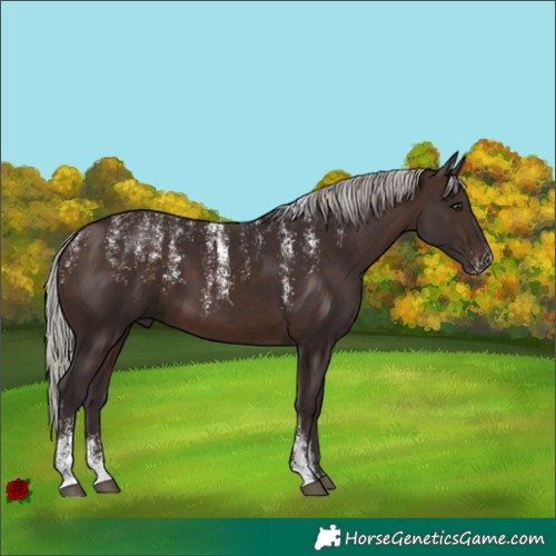 Horse Color:Powder White Silver Brown 