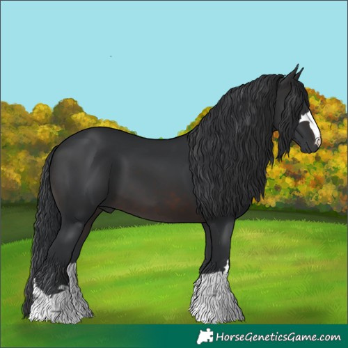 Horse Color:Brown 