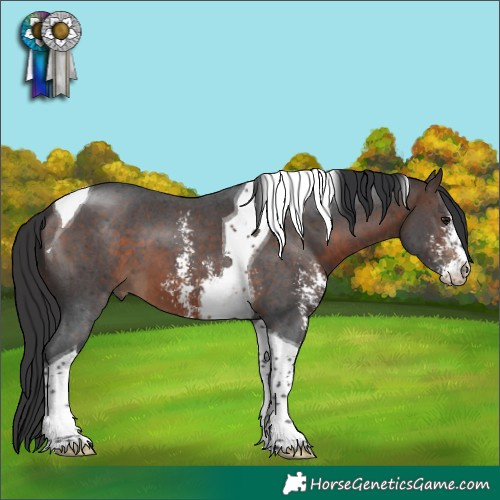 Horse Color:Bay Sabino Tobiano 