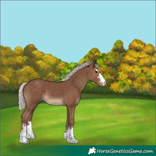 Horse Color:Silver Black