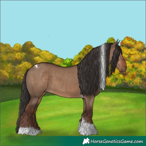 Horse Color:Liver Red Dun Tobiano 
