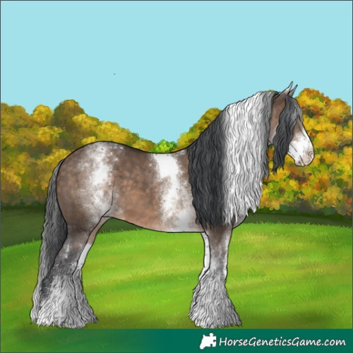 Horse Color:White Spotted Brown Dun Tobiano