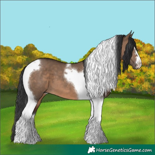 Horse Color:Brown Dun Tobiano
