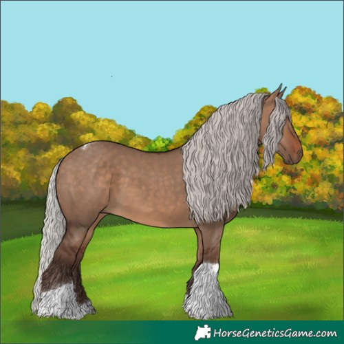 Horse Color:Silver Brown Dun Tobiano