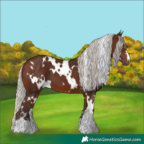 Horse Color:White Spotted Silver Brown 