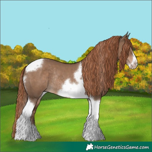 Horse Color:Liver Red Dun Tobiano Frame Rabicano 