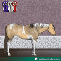 Horse Color:Buckskin Dun Tobiano