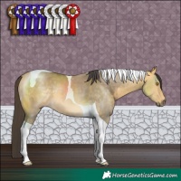 Horse Color:Buckskin Dun Tobiano 
