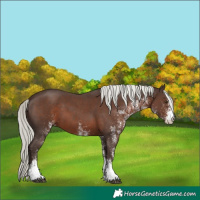 Horse Color:White Spotted Liver Chestnut Mushroom 