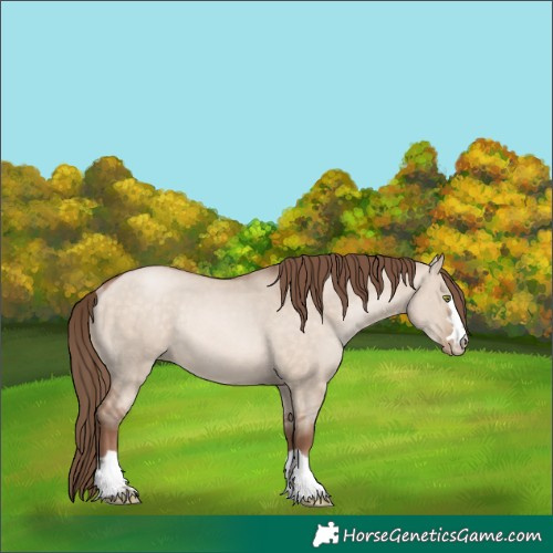 Horse Color:Brown Pearl Dun Mushroom Rabicano