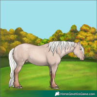 Horse Color:White Spotted Gold Champagne Dun Mushroom Rabicano