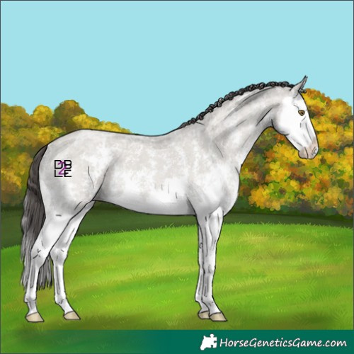 Horse Color:Classic Cream Champagne Ice Dun Sabino Splash