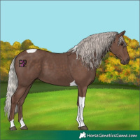 Horse Color:Silver Black Tobiano