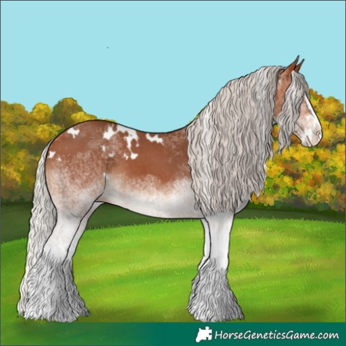 Horse Color:White Spotted Silver Bay Splash 
