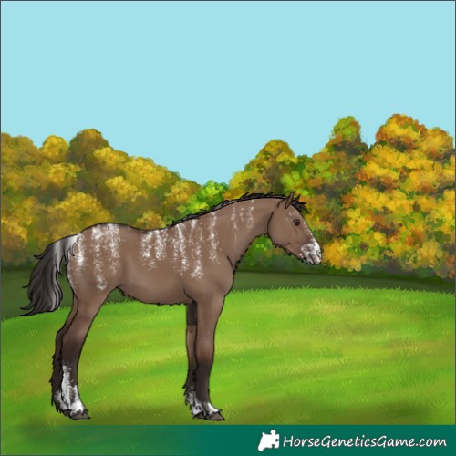 Horse Color:Powder White Liver Red Dun 