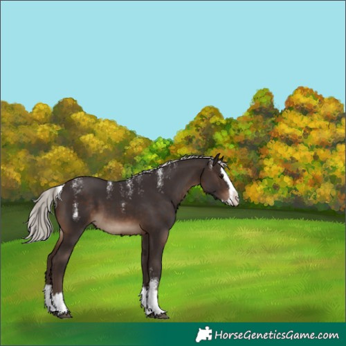 Horse Color:Powder White Silver Brown Splash 