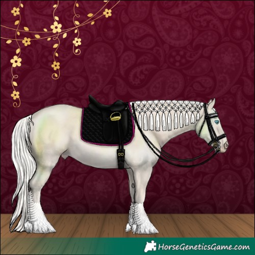 Horse Color:Cremello 