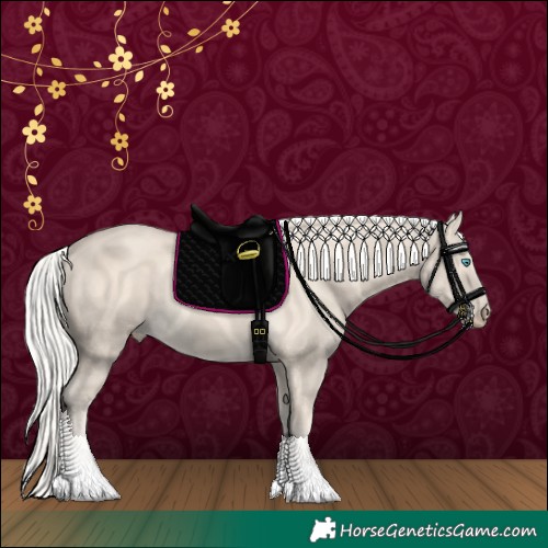 Horse Color:Cremello 