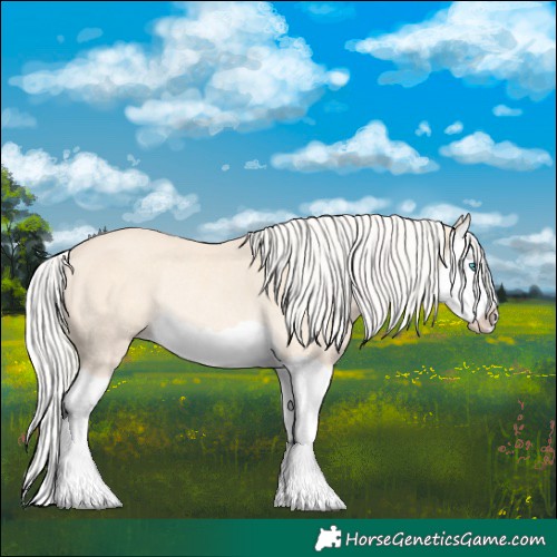 Horse Color:Cremello Splash Rabicano 