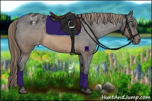 Horse Color:Buckskin Sabino Varnish