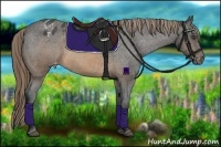 Horse Color:Buckskin Sabino Varnish 